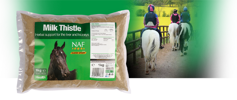 For the maintenance of a healthy liver and kidneys For the maintenance of a healthy liver and kidneys