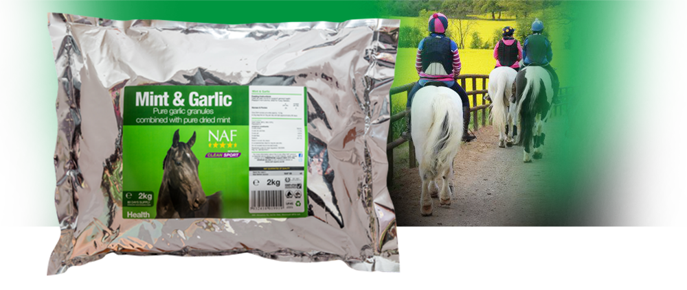 Combines the benefits of both pure garlic and pure mint