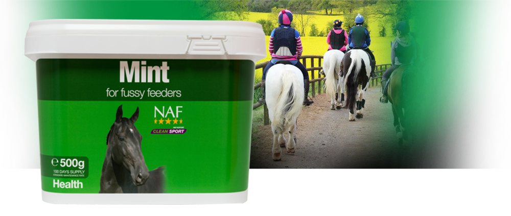 100% pure to encourage appetite