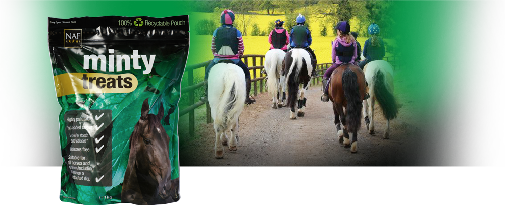 Delicious treats containing real peppermint Delicious treats containing real peppermint