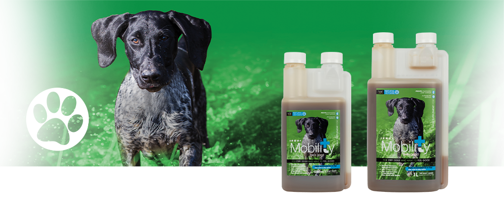 Veterinary strength nutritional support for dogs with stiff joints or an active lifestyle. Veterinary strength nutritional support for dogs with stiff joints or an active lifestyle.