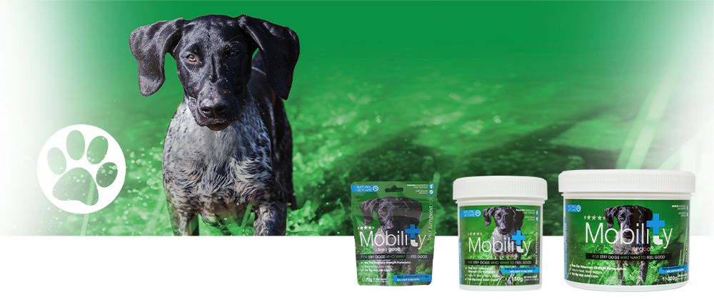 Veterinary strength joint support for active or working dogs. Veterinary strength joint support for active or working dogs.