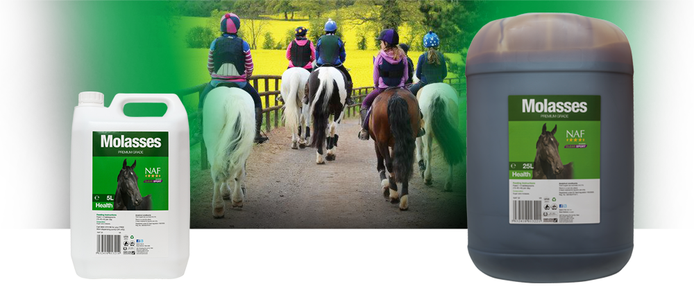 Premium grade, un-sulphured molasses to encourage fussy feeders Premium grade, un-sulphured molasses to encourage fussy feeders