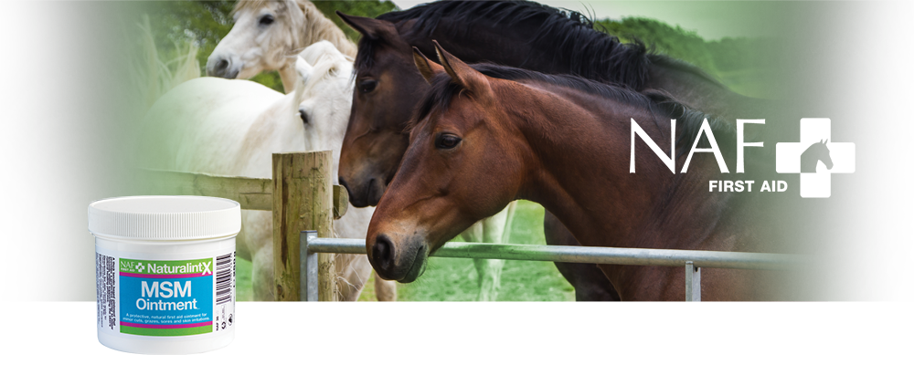 A protective barrier to minor wounds A protective barrier to minor wounds