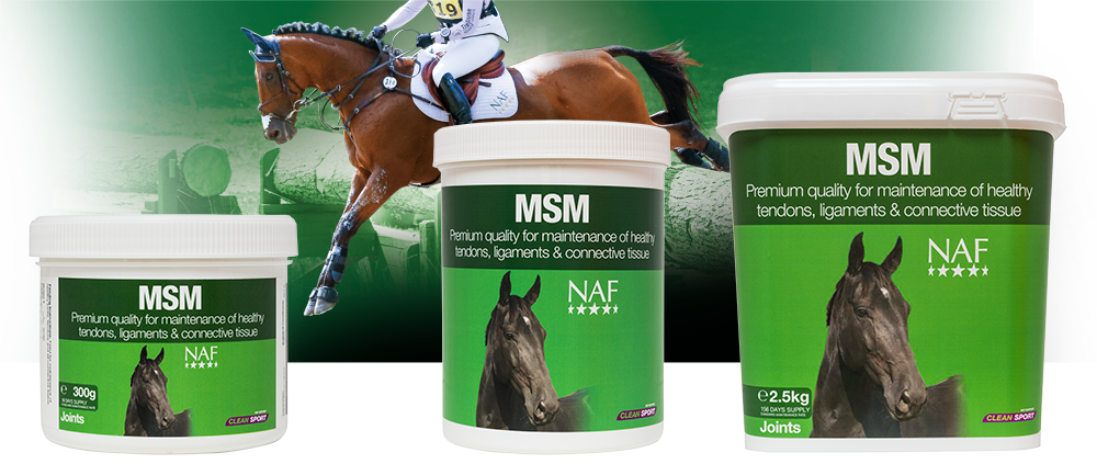 Pure MSM for the health of tendons, ligaments, muscle and soft tissue Pure MSM for the health of tendons, ligaments, muscle and soft tissue