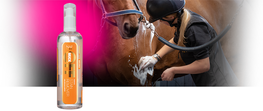 Powerful stain remover to clean up grass and stable stains Powerful stain remover to clean up grass and stable stains