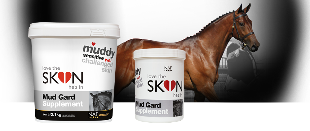 Nutritional support for skin challenged by wet and muddy conditions