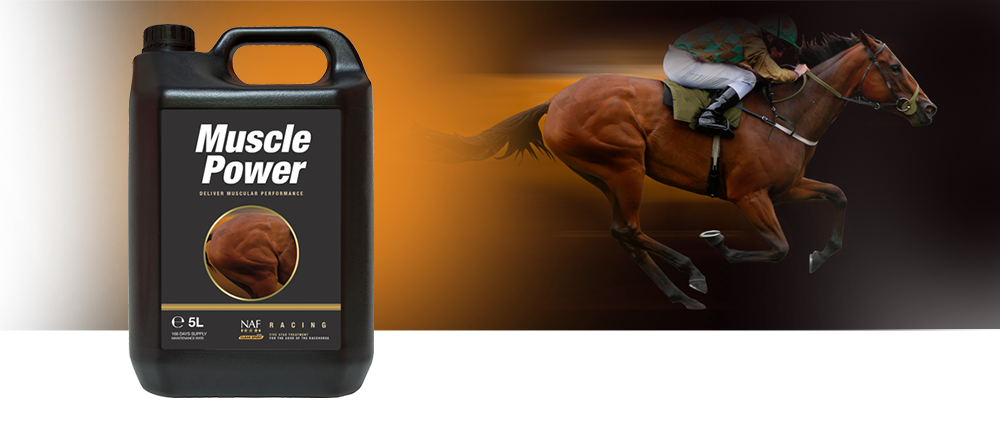 Amino acid formula supporting the building blocks for healthy muscle development