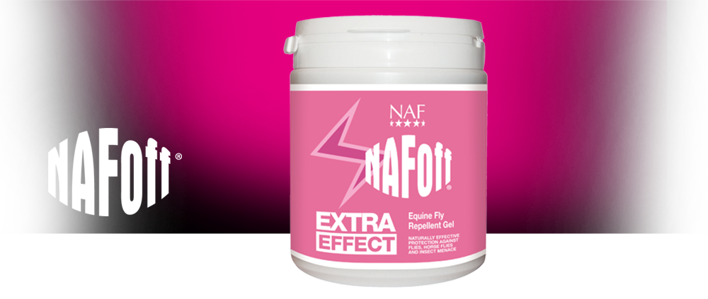 Natural fly repellent gel