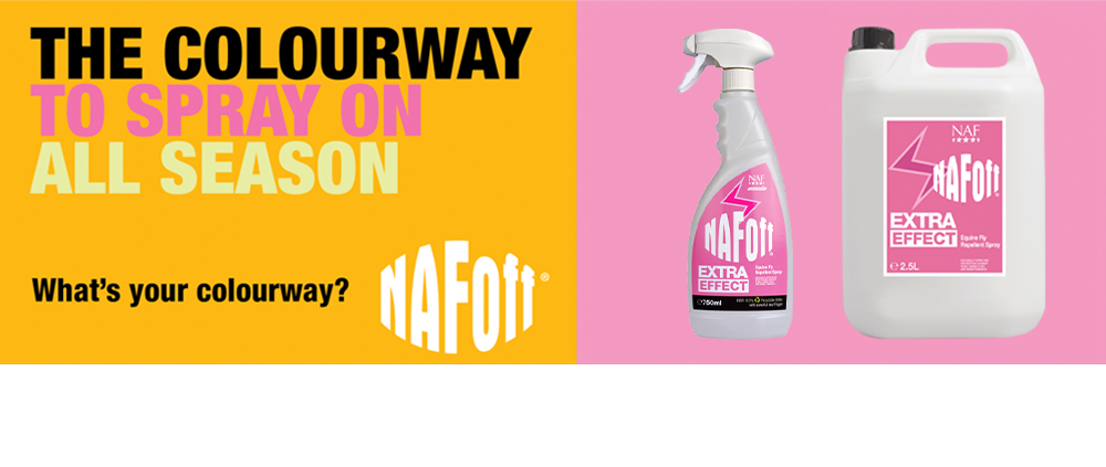 Natural fly repellent Natural fly repellent