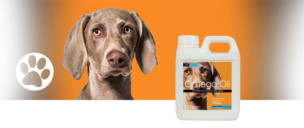 A blend of natural oils rich in Omega 3 and 6 fatty acids.