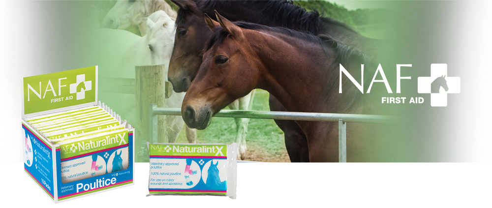 Highly absorbent multi layered dressing for to support the healing of wounds