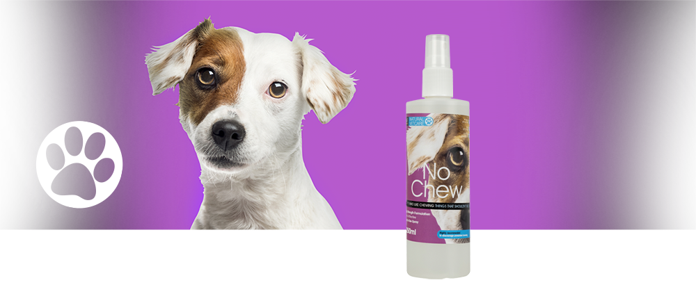 A safe effective deterrent spray for using as part of behavioural training to dissuade unwanted chewing in dogs and cats. A safe effective deterrent spray for using as part of behavioural training to dissuade unwanted chewing in dogs and cats.