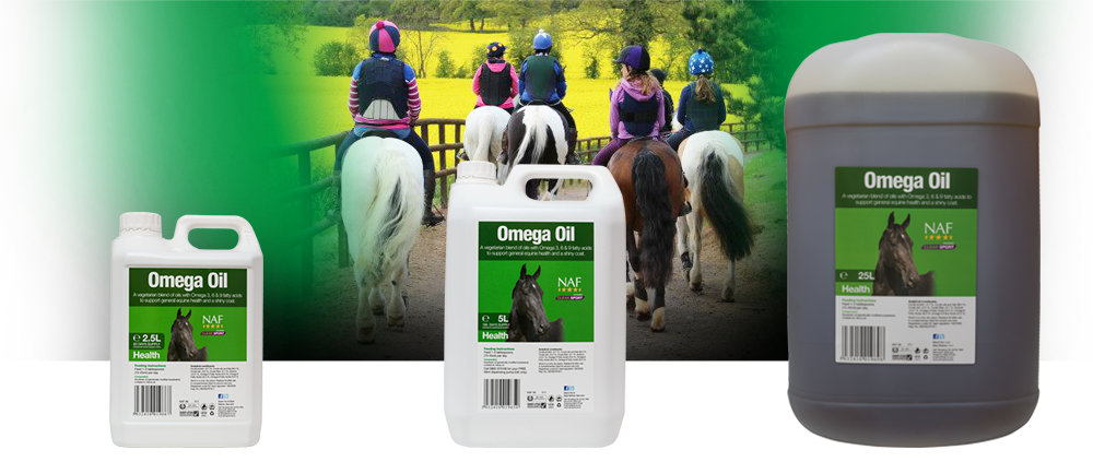 Blend of vegetable oils with Omegas 3, 6 and 9