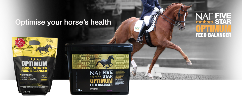 Concentrated, sugar free, high specification feed balancer for every horse Concentrated, sugar free, high specification feed balancer for every horse