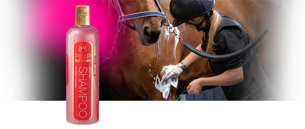 Perfectly pink shampoo to clean up dirty ponies Perfectly pink shampoo to clean up dirty ponies