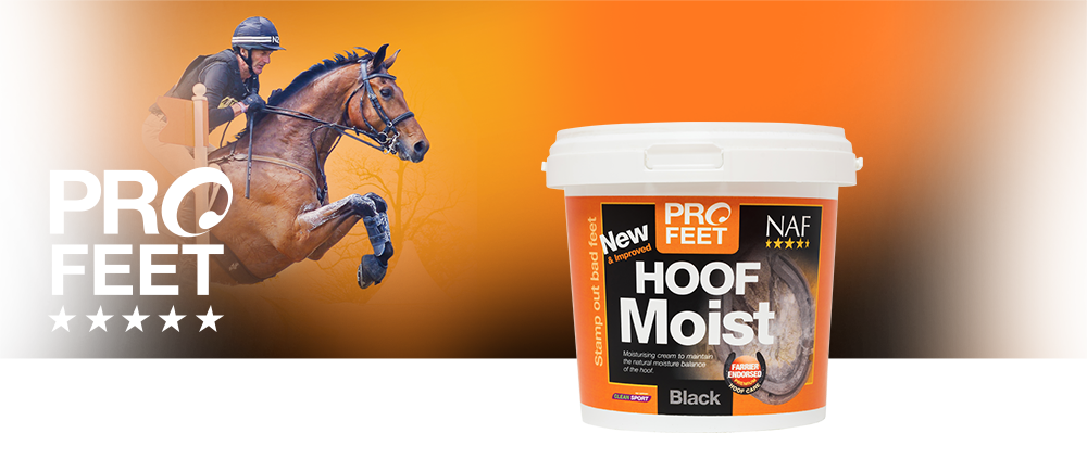 Natural water based hoof moisturiser to improve hoof condition