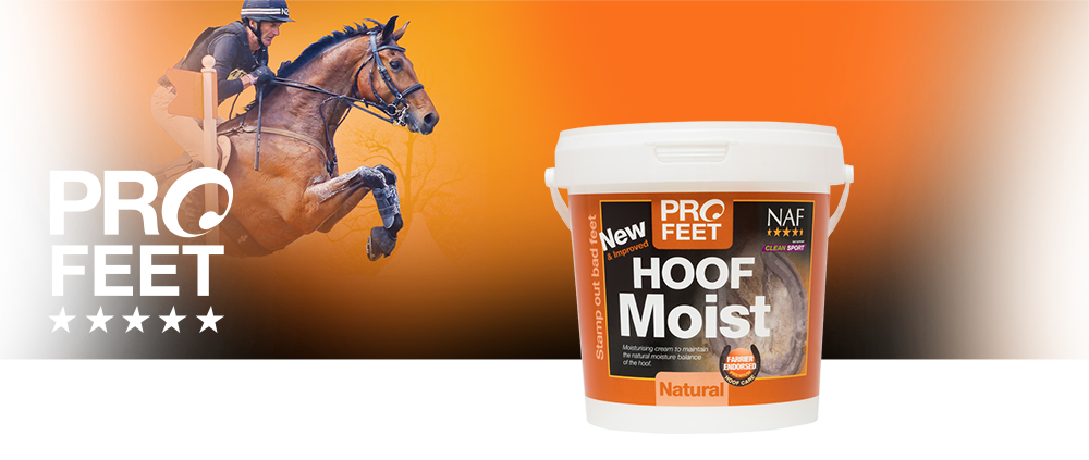 Natural water based hoof moisturiser to improve hoof condition