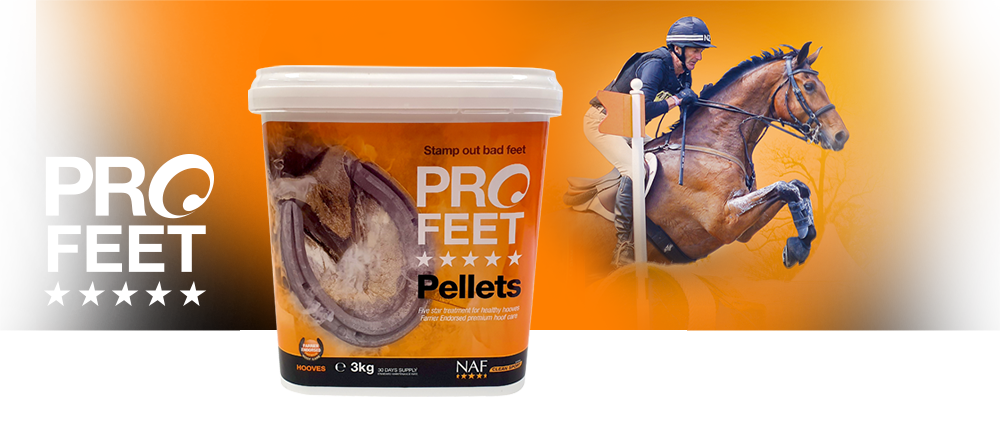 Five Star pellets for strong healthy hooves