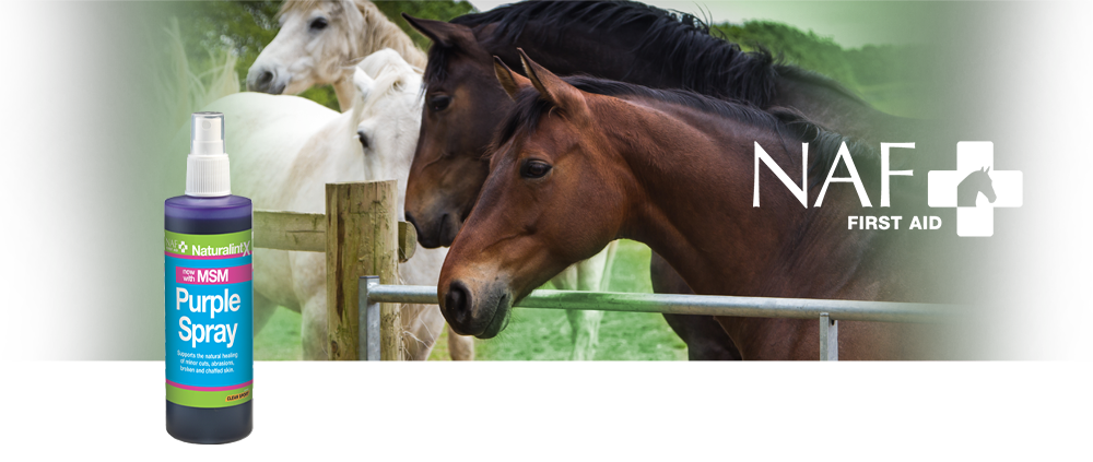 A gentle non aerosol spray with MSM to support natural healing A gentle non aerosol spray with MSM to support natural healing