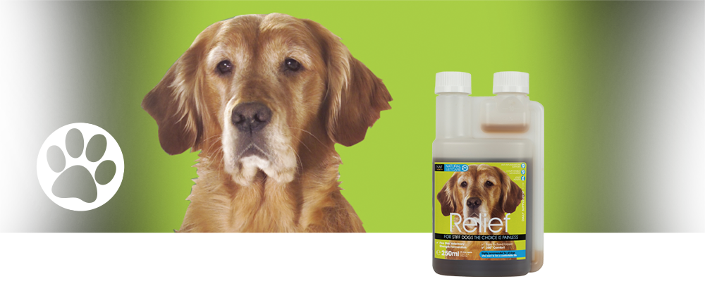 A powerful herbal liquid to target joint comfort in dogs. A powerful herbal liquid to target joint comfort in dogs.