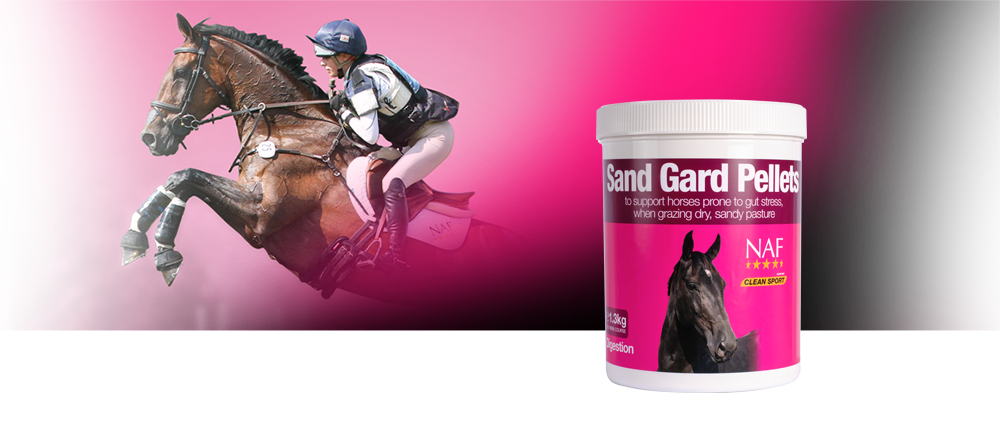 Supports healthy movement throughout the gut to avoid accumulation of excesses
