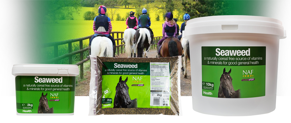 Natural source of vitamins and minerals to promote good health Natural source of vitamins and minerals to promote good health