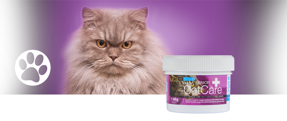 Veterinary strength nutritional supplement for older cats and those in need of kidney support. Veterinary strength nutritional supplement for older cats and those in need of kidney support.