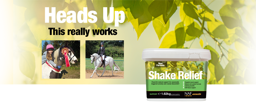 Nutritional support for horses showing signs of seasonal anxiety