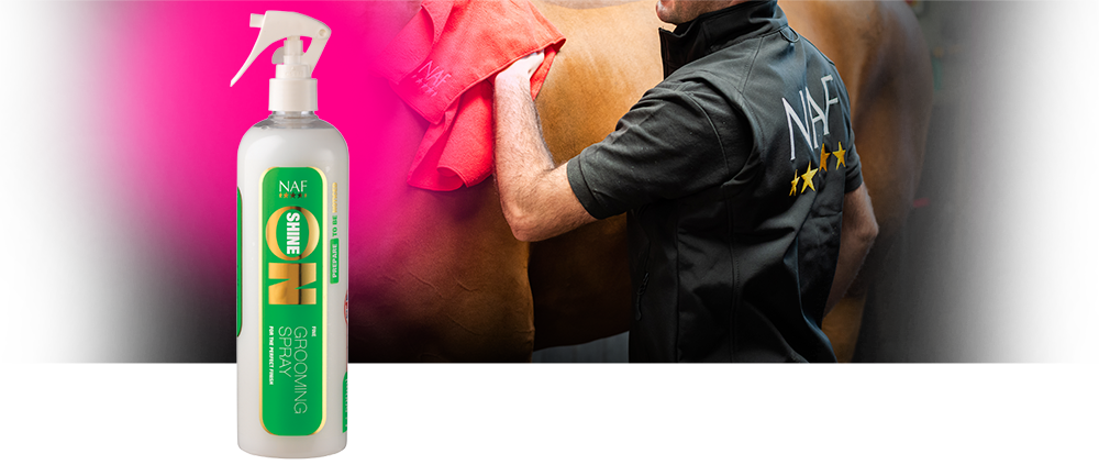 Finishing spray for manes, tails and coats Finishing spray for manes, tails and coats
