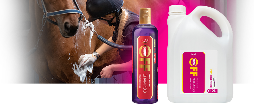 Ultra violet shampoo for a deep clean and bright shine