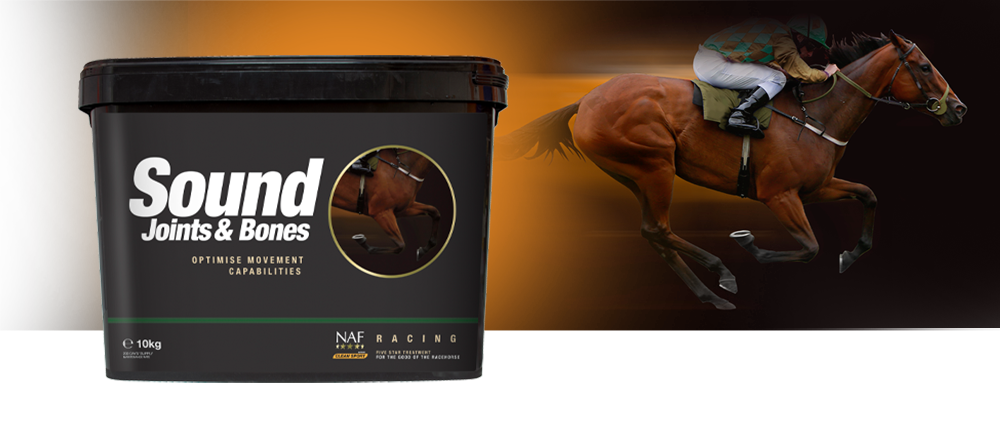 Soundness and flexibility. MSM Free. Soundness and flexibility. MSM Free.