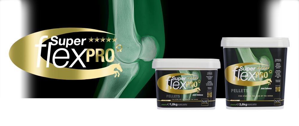 Premium joint support for equine athletes. Market leading levels of key nutrients in a unique synergistic blend. Easy feed, palatable pellets. Vegan formula.