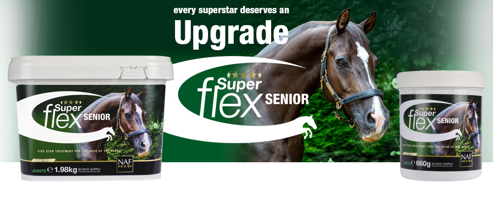 High specification joint support nutrients, for healthy, flexible joints in older horses and ponies.