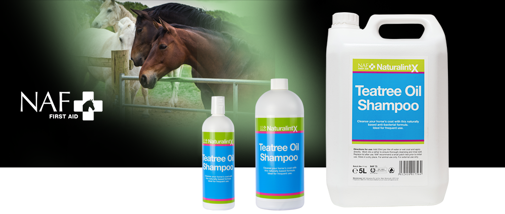 Natural cleansing formula