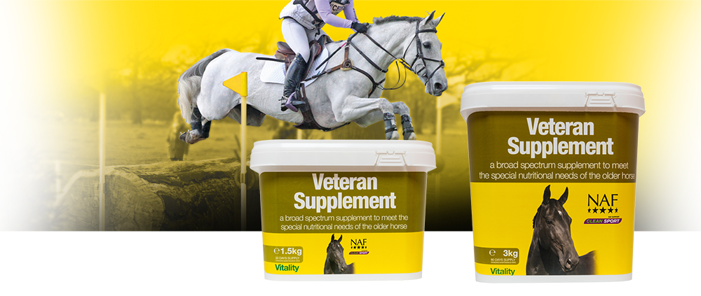 Formulated specifically to meet the needs of the older horse and pony Formulated specifically to meet the needs of the older horse and pony