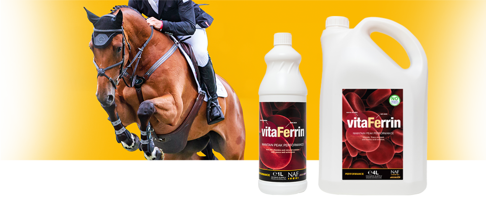 Highly palatable vitamin and mineral solution Highly palatable vitamin and mineral solution