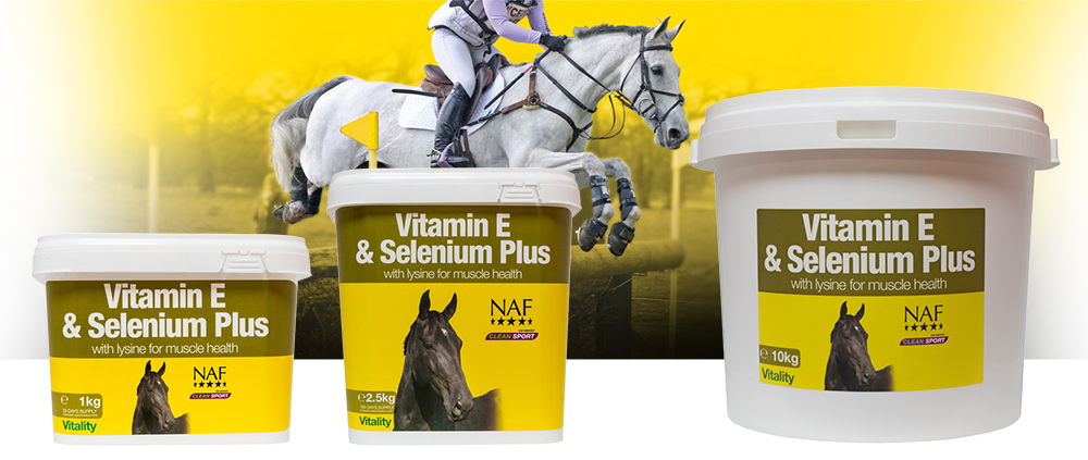 Formulated to support healthy muscle function, fitness and reproductive efficiency