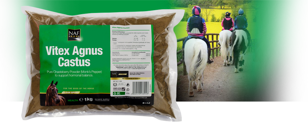 Herbal support for hormonal balance Herbal support for hormonal balance