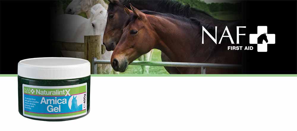 A smooth, cooling gel to soothe minor strains
