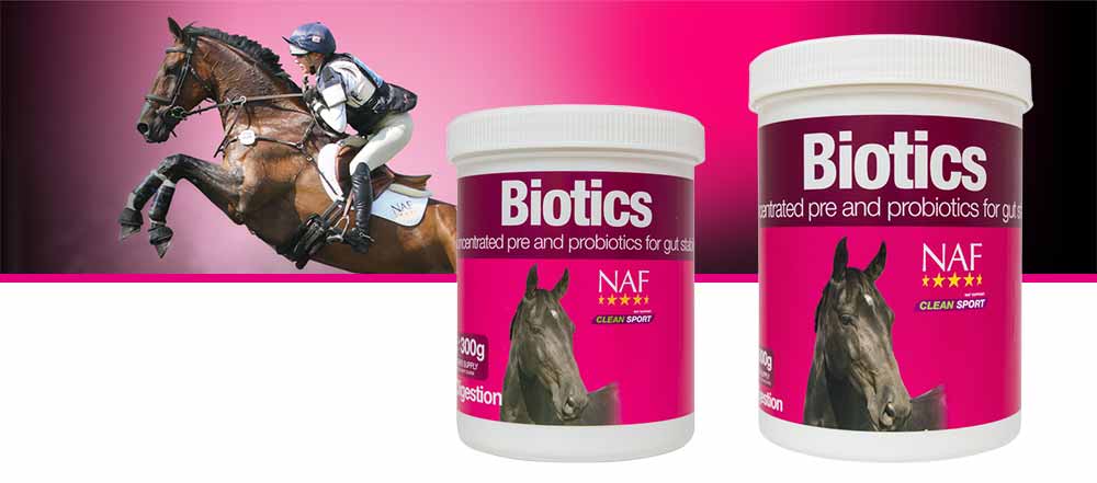 Blend of pre and probiotics for gut health and stability