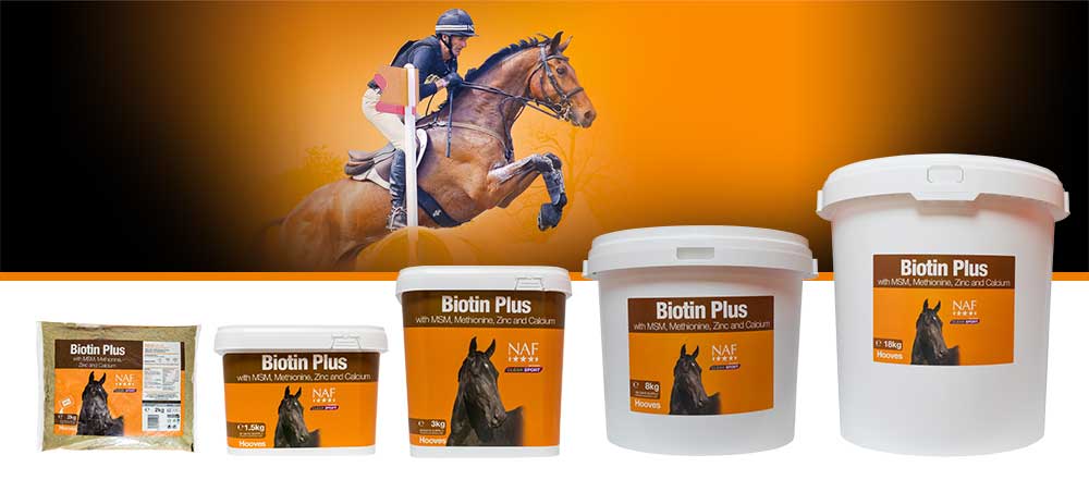 Ideal for everyday maintenance of healthy hooves