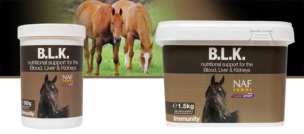 Supplement to support the blood, liver and kidneys
