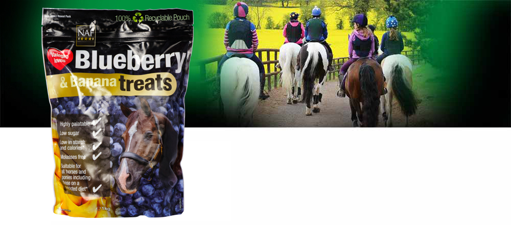 Delicious blueberry and banana flavour treats