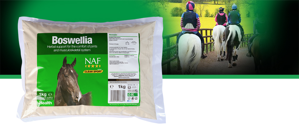 For joint and musculoskeletal system comfort