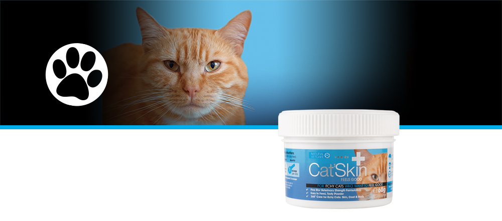 Veterinary strength nutritional support for itchy sensitive skin.