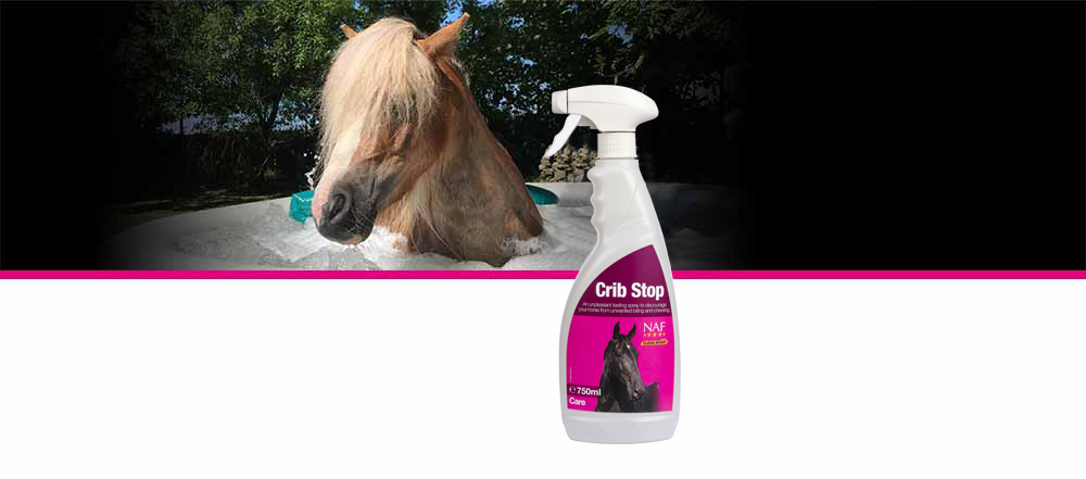 Unpleasant tasting oil based spray to discourage biting of wood and other surfaces