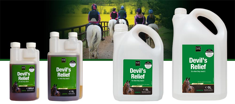 Natural relief to comfort old or stiff joints. <br><br> <strong>This product contains devil's claw which is an FEI prohibited substance</strong>