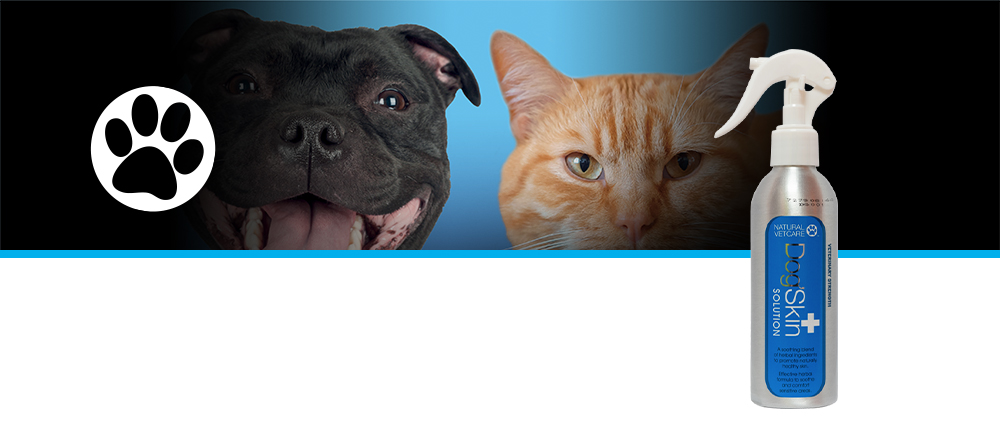 Veterinary strength, effective herbal formula to soothe and comfort sensitive areas of skin.