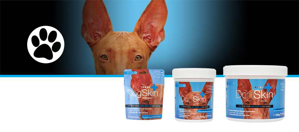 Veterinary strength nutritional support for itchy sensitive skin.